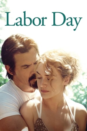 Labor Day (2013) Hindi Dual Audio HDRip 720p – 480p