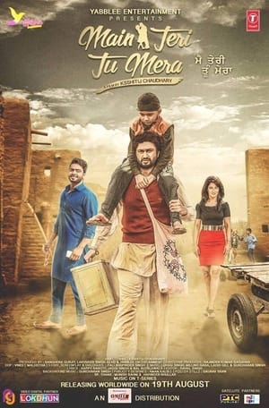 Main Teri Tu Mera 2016 Punjabi 480p HDRip ESubs [400 MB]