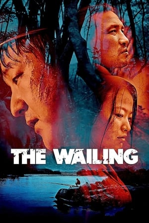 The Wailing 2016 Hindi Dual Audio 720p Web-DL [1.3GB]